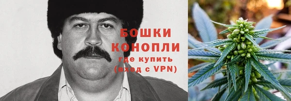 прущие грибы Ростов
