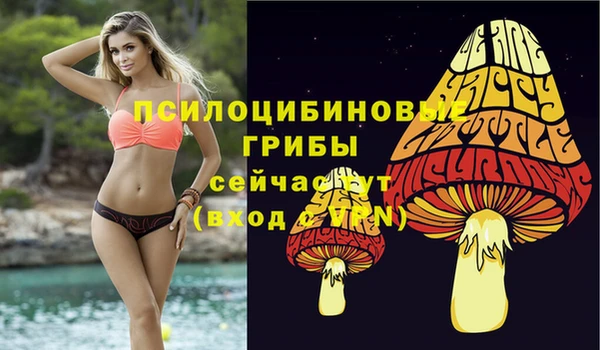 прущие грибы Ростов