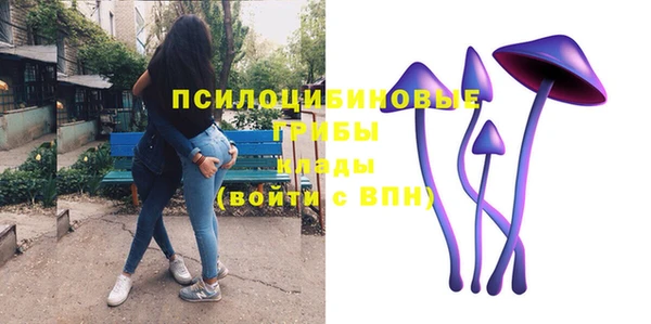 spice Абаза